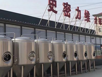 扎囊精酿啤酒设备厂—市场规模与跨界新需求